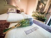 Lawendowy Zdrój Medical SPA Busko Zdrój