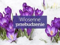 Pakiet Wiosenne przebudzenie 